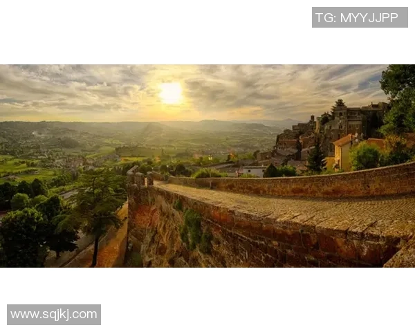 博托沙尼与多瑙河克勒拉希的精彩对决前瞻与分析